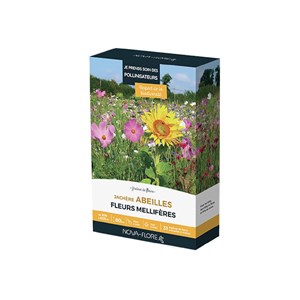 Prairies fleuries : jachère abeilles